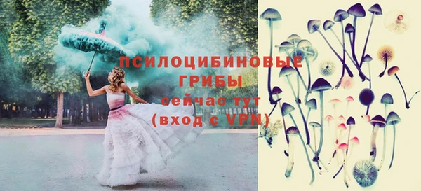амф Козельск
